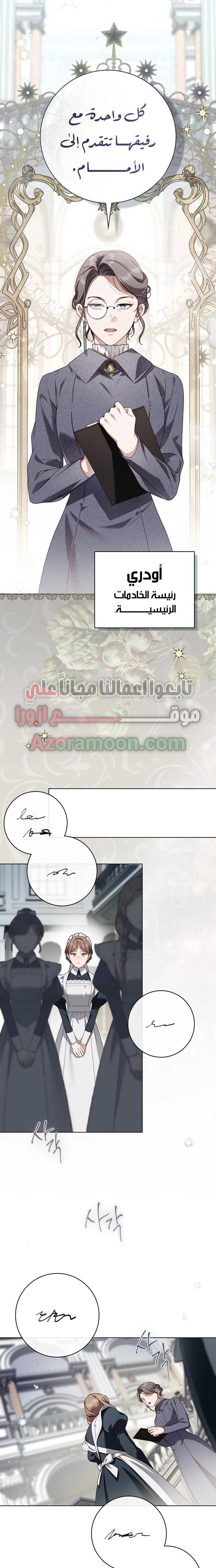الصفحة 17