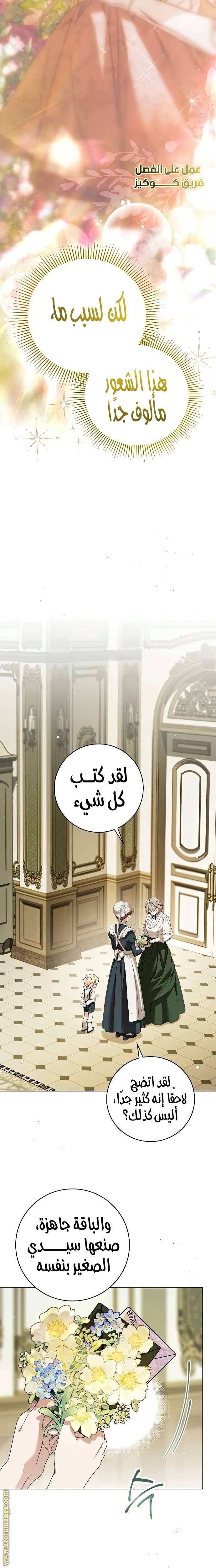 الصفحة 26
