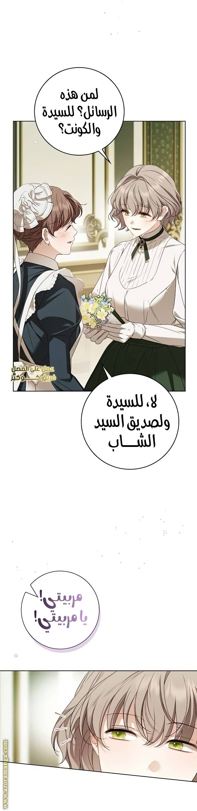 الصفحة 27