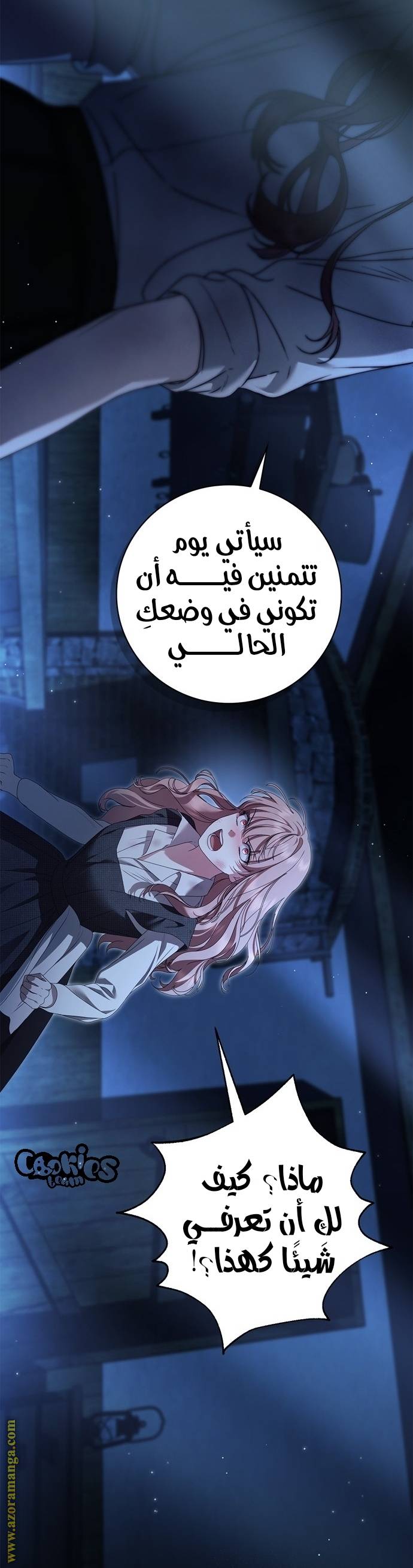 الصفحة 17