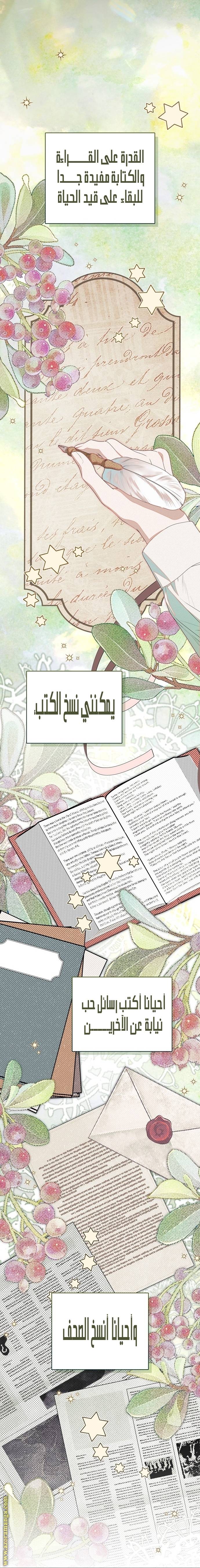 الصفحة 20