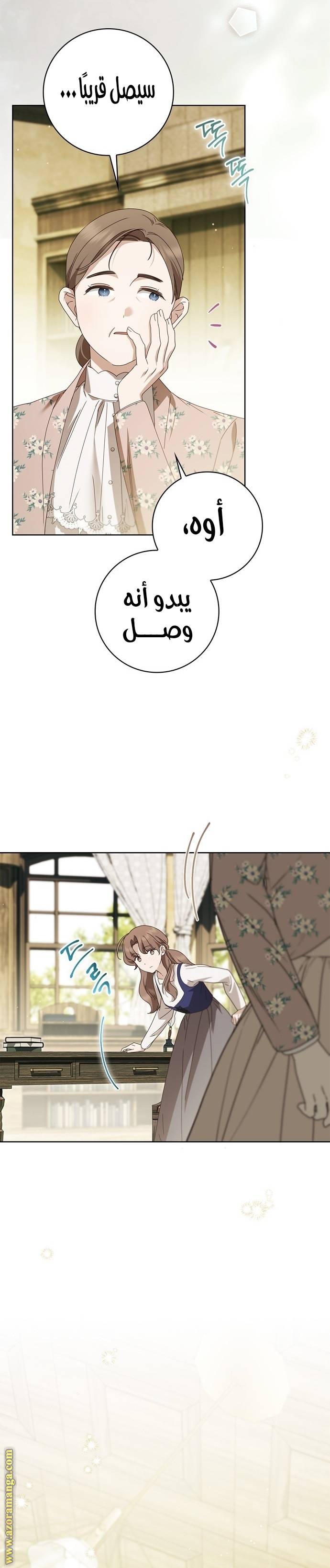 الصفحة 25