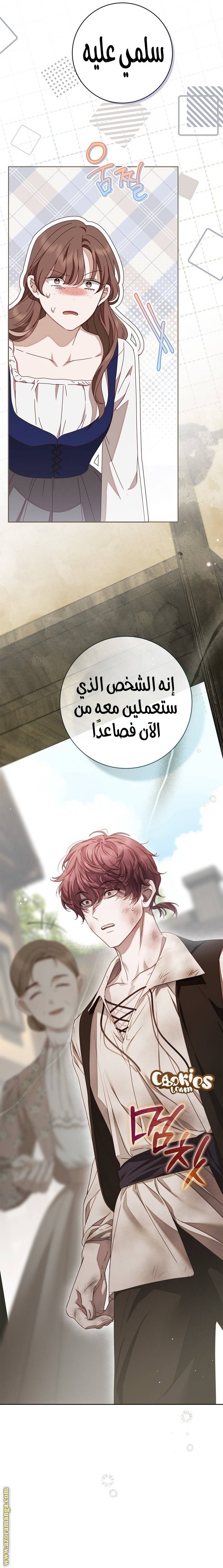 الصفحة 27