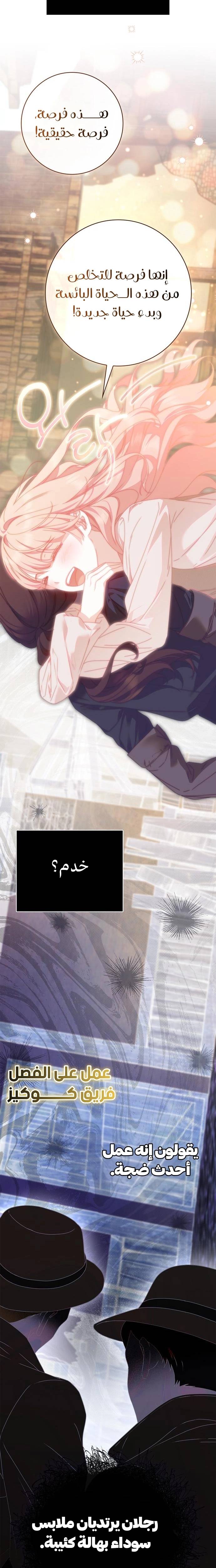 الصفحة 17