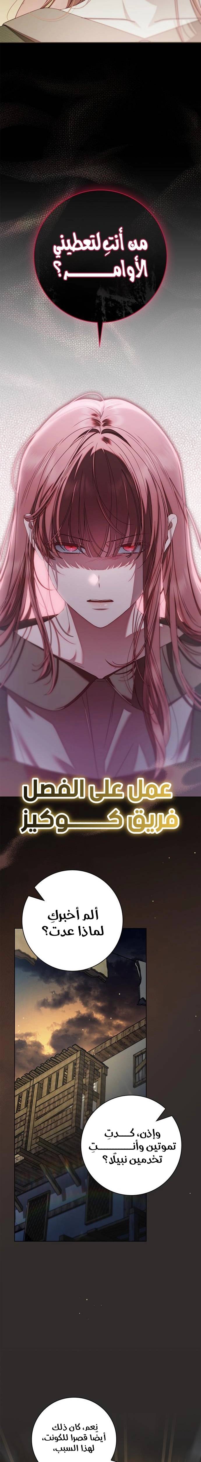 الصفحة 20