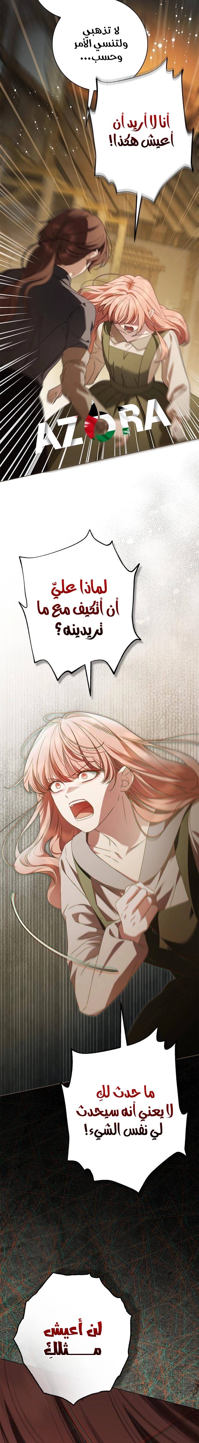 الصفحة 21