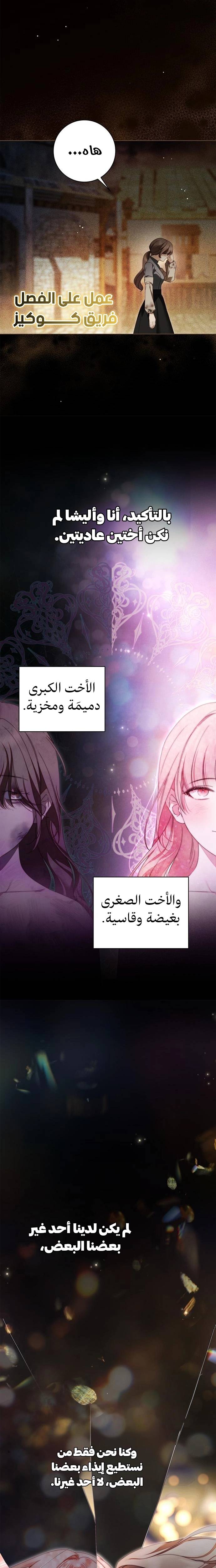 الصفحة 24