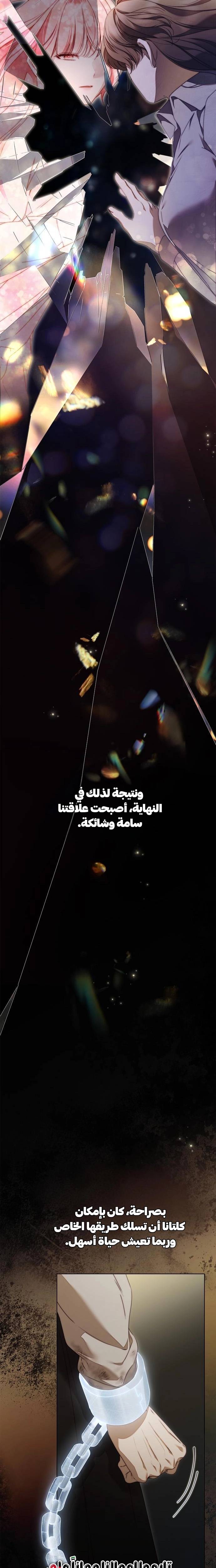 الصفحة 25
