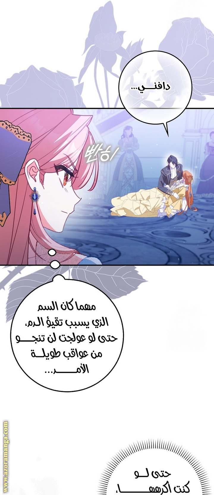 الصفحة 13