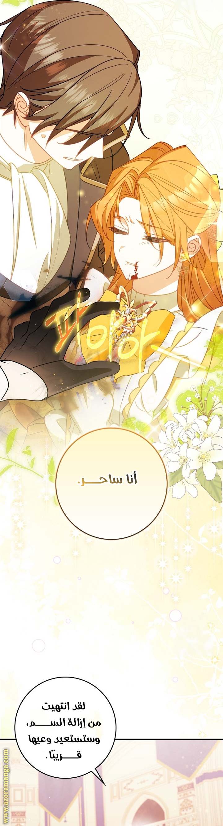 الصفحة 17