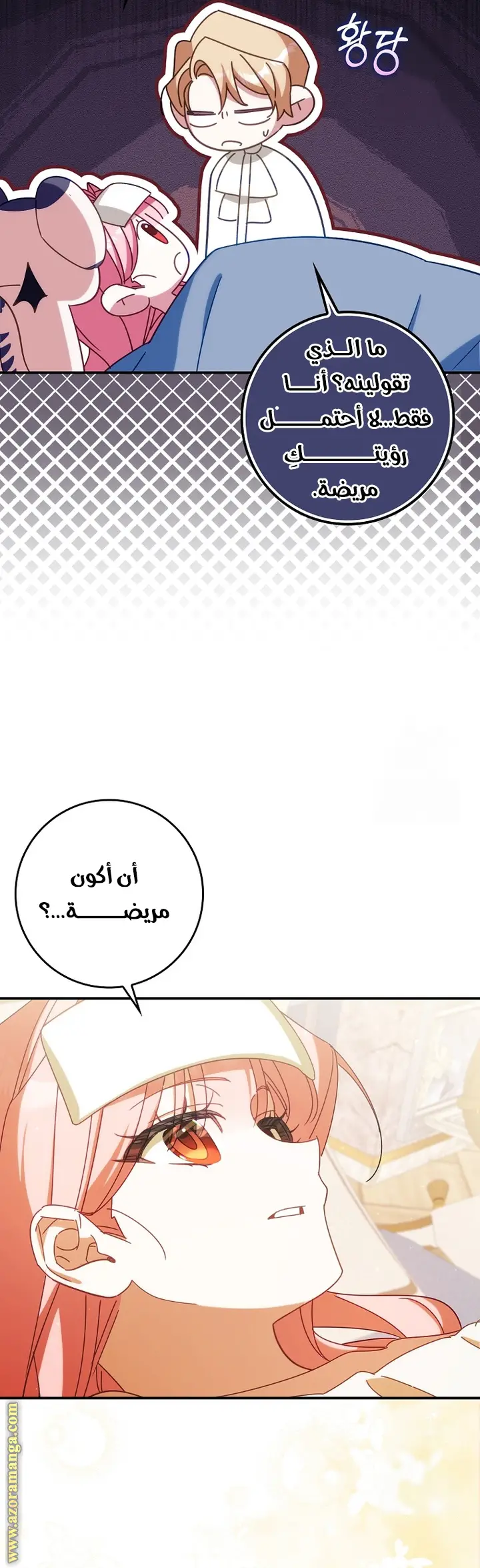 الصفحة 13