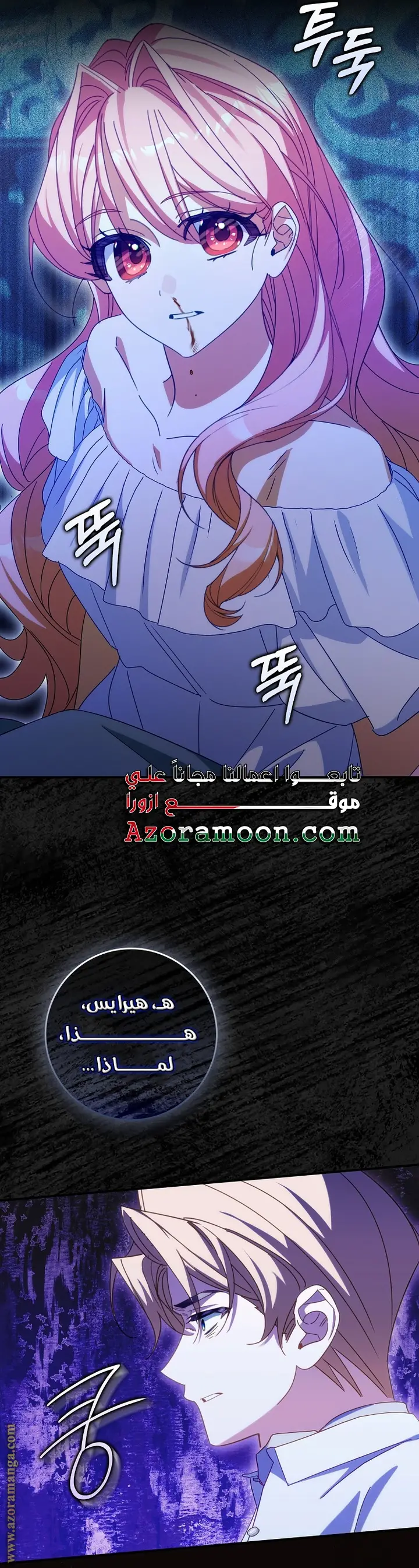الصفحة 25