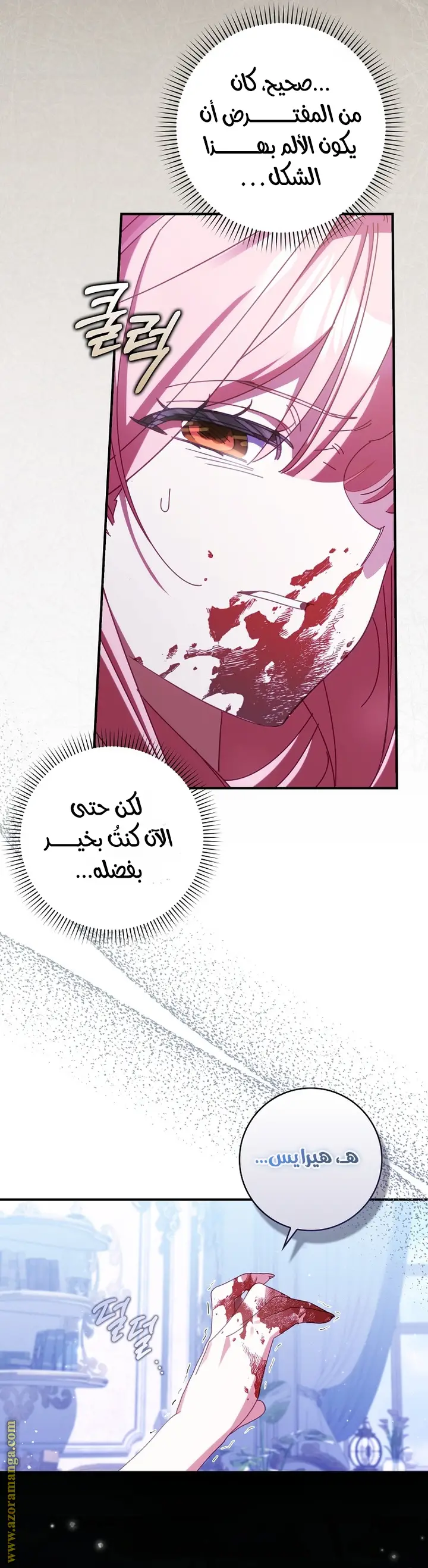 الصفحة 29