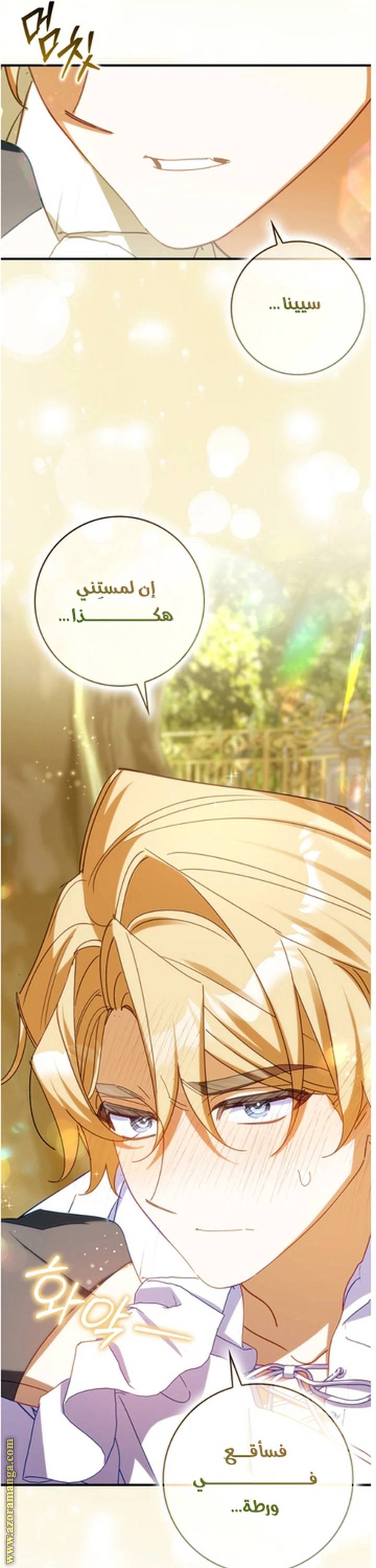 الصفحة 17