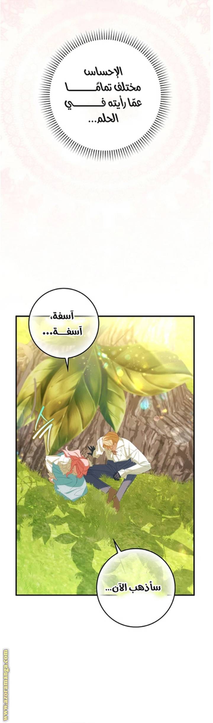 الصفحة 19