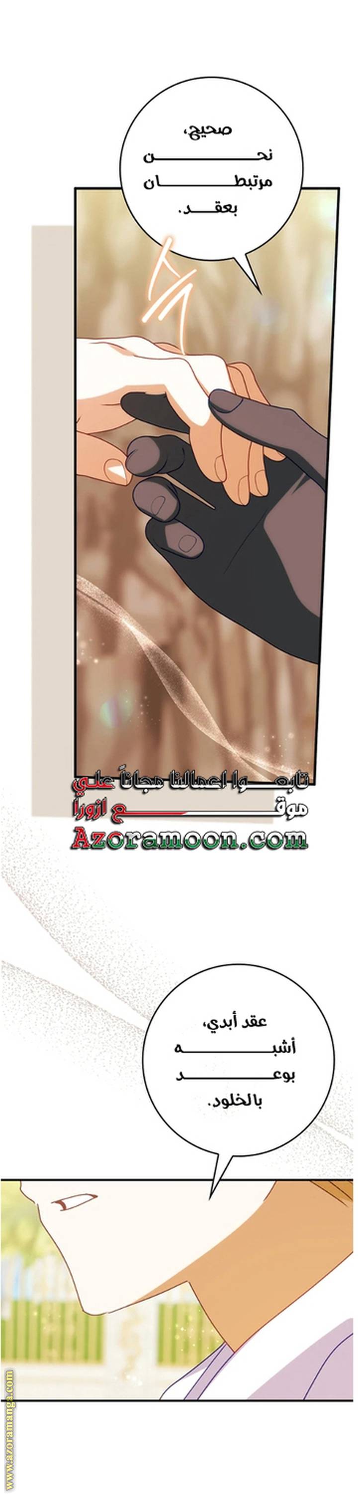 الصفحة 26