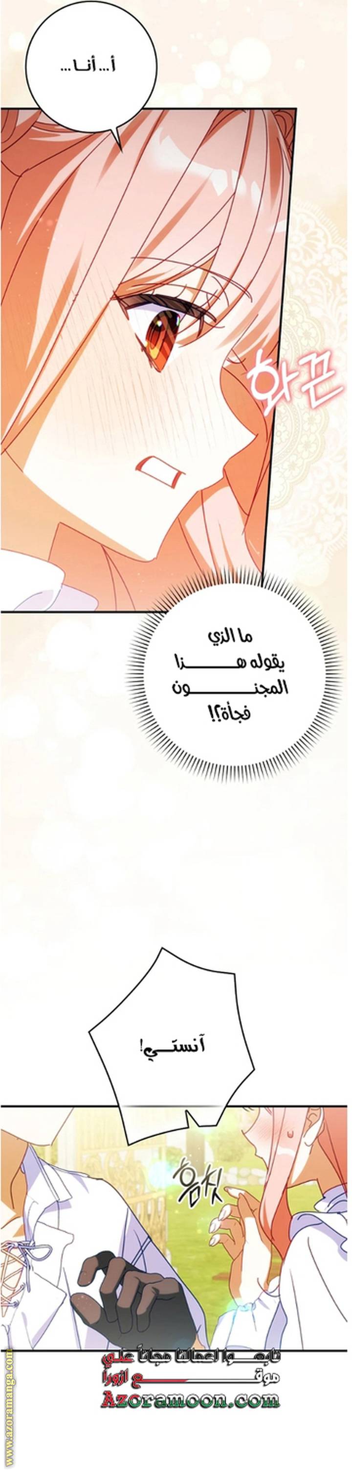 الصفحة 28