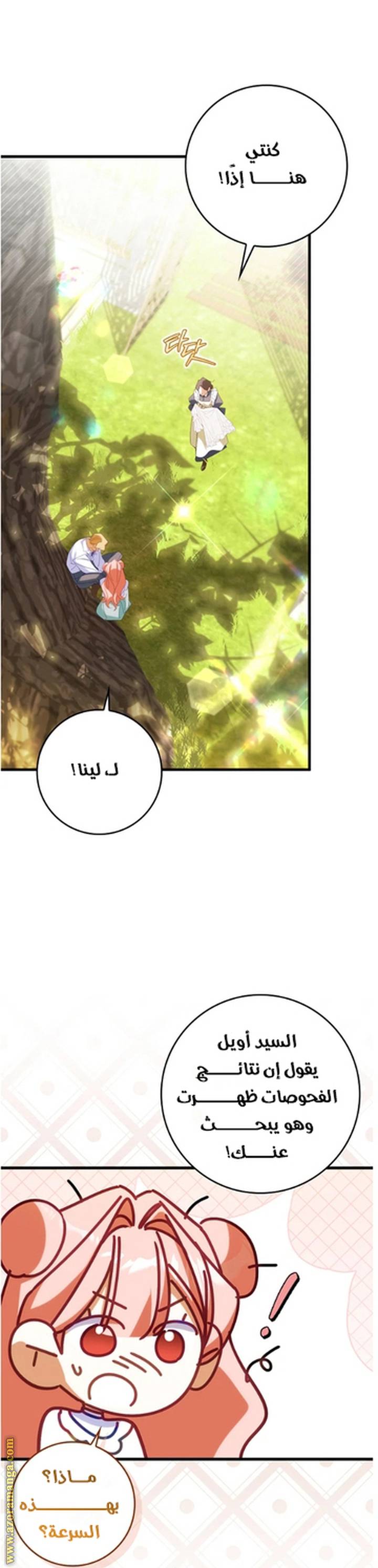 الصفحة 29