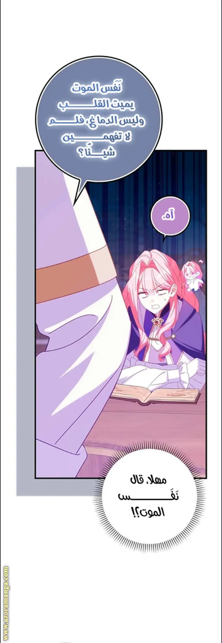 الصفحة 13