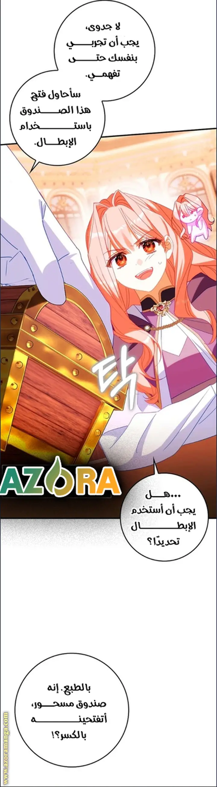 الصفحة 17