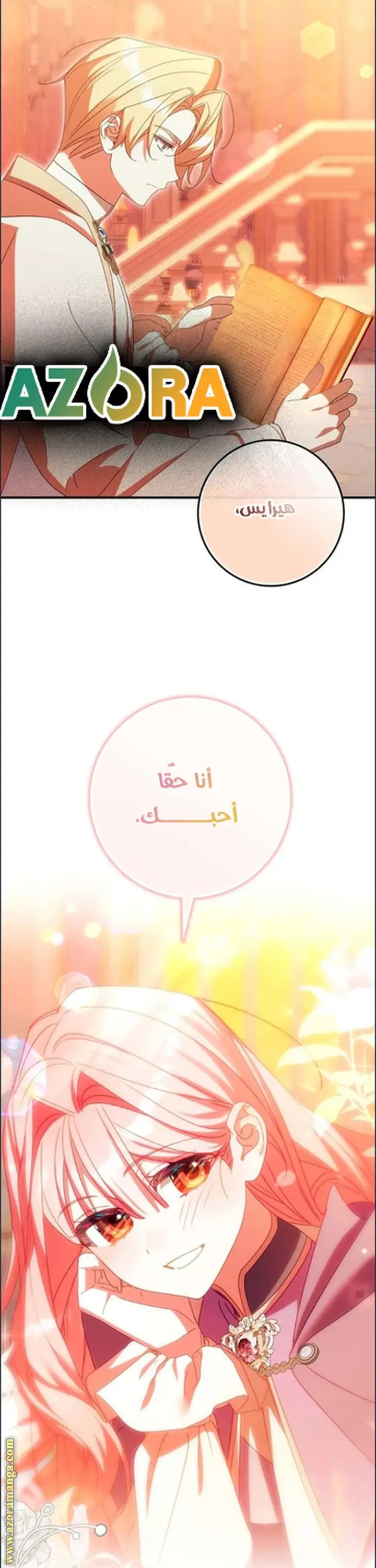 الصفحة 26