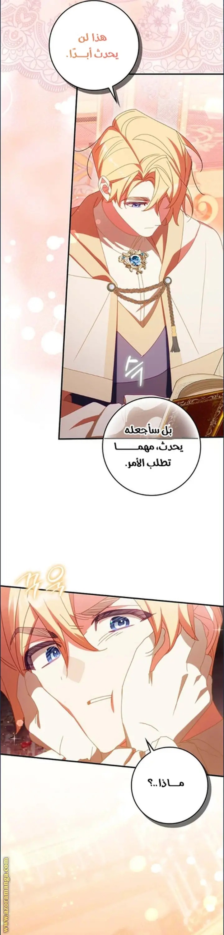 الصفحة 31