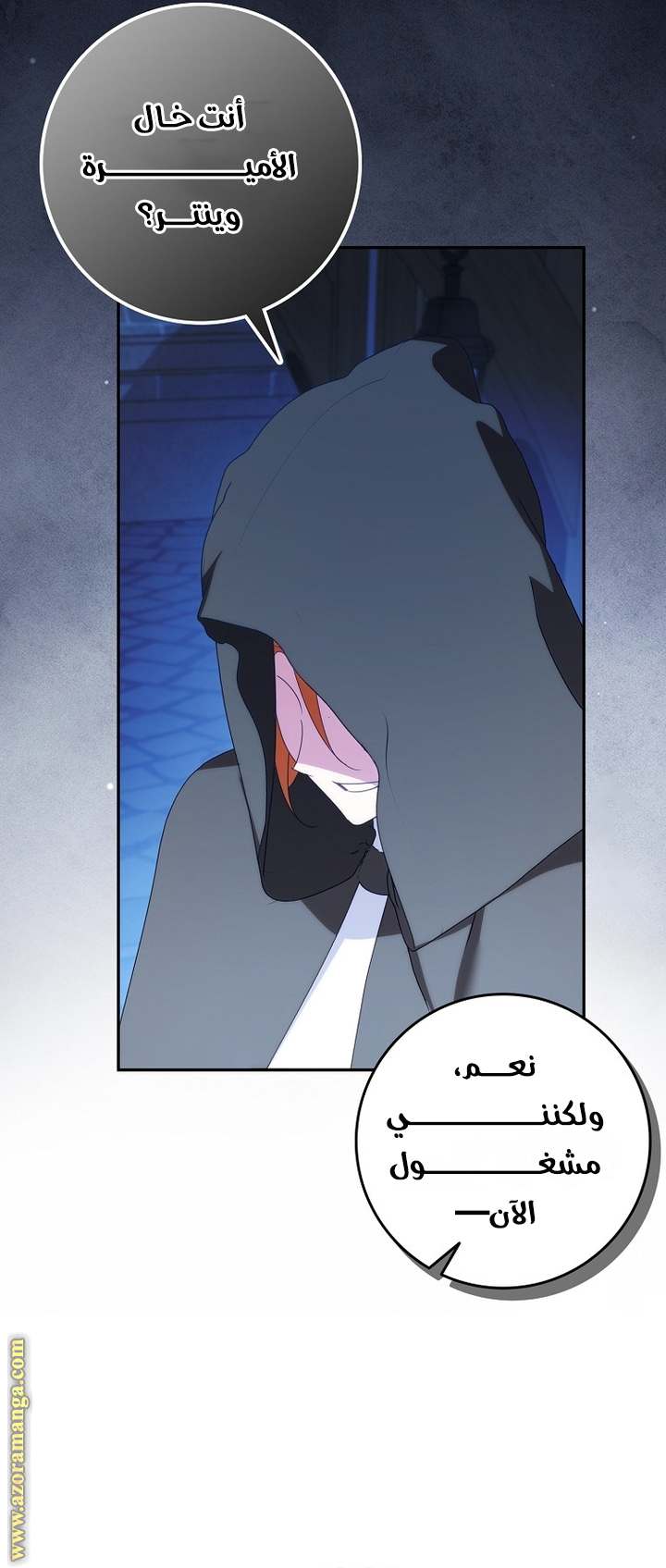 الصفحة 28