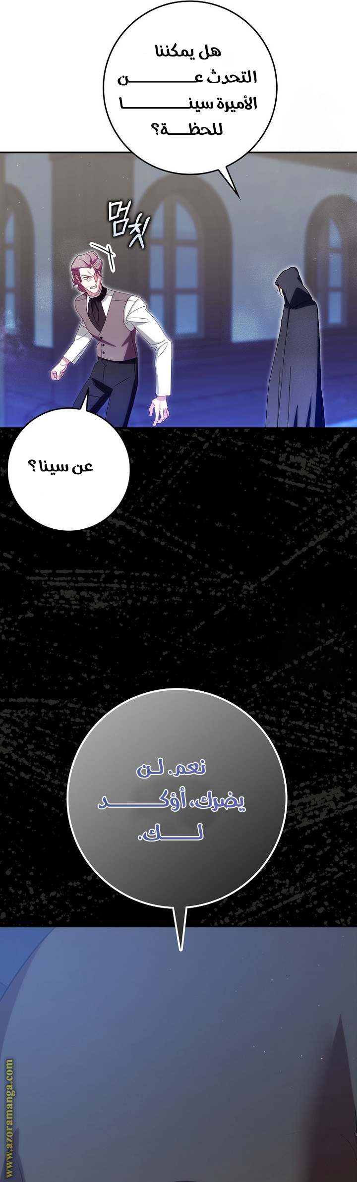 الصفحة 29