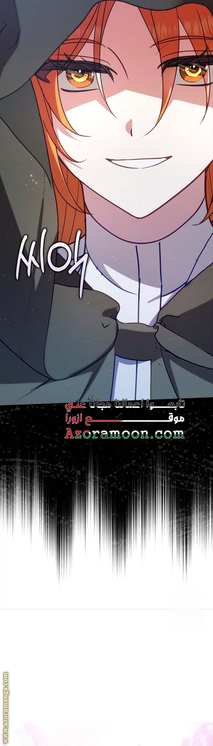 الصفحة 30