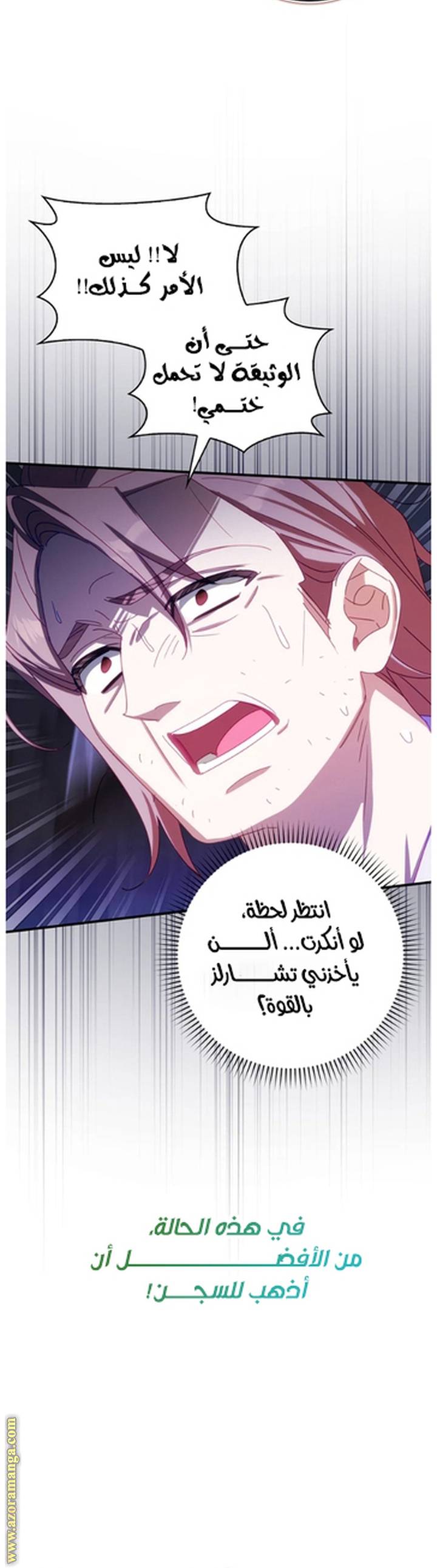 الصفحة 31