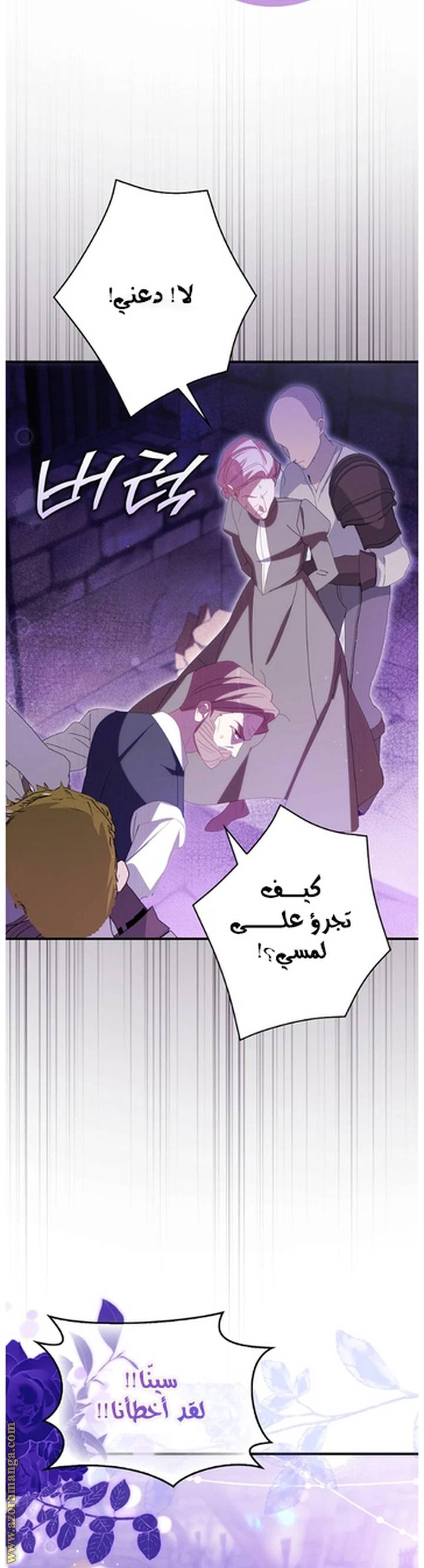 الصفحة 41