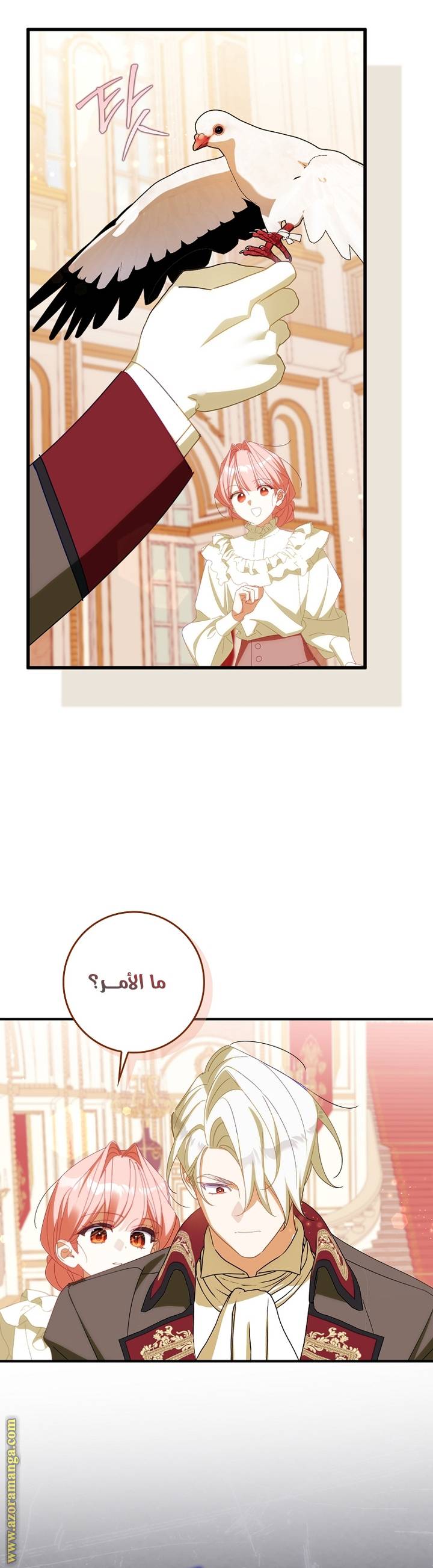 الصفحة 16