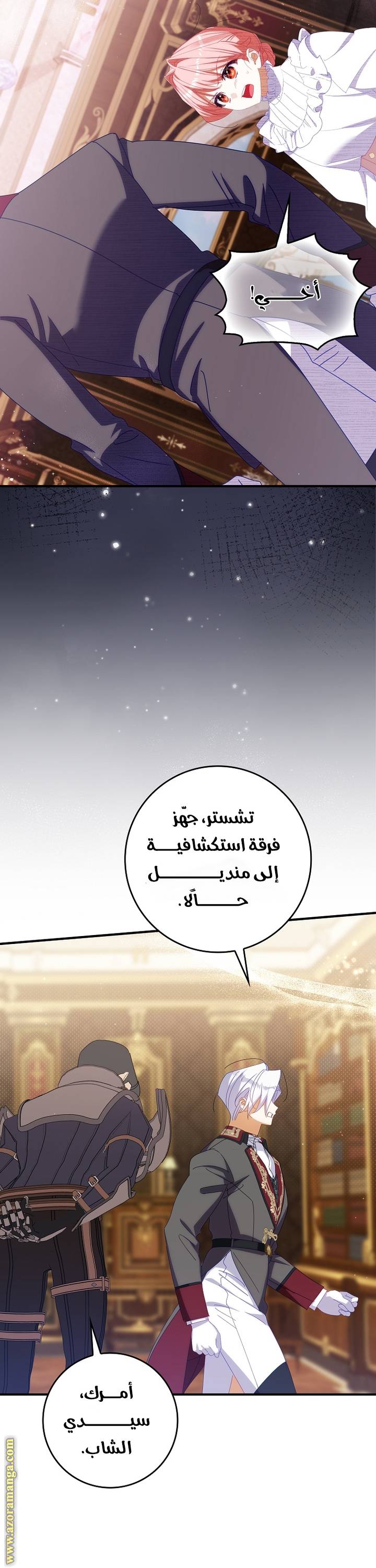 الصفحة 27
