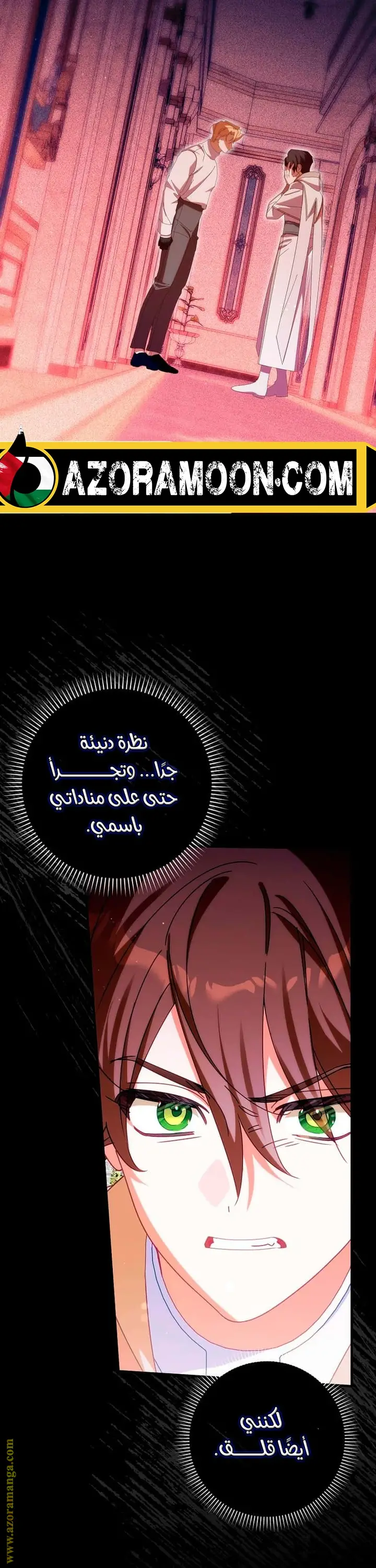 الصفحة 29