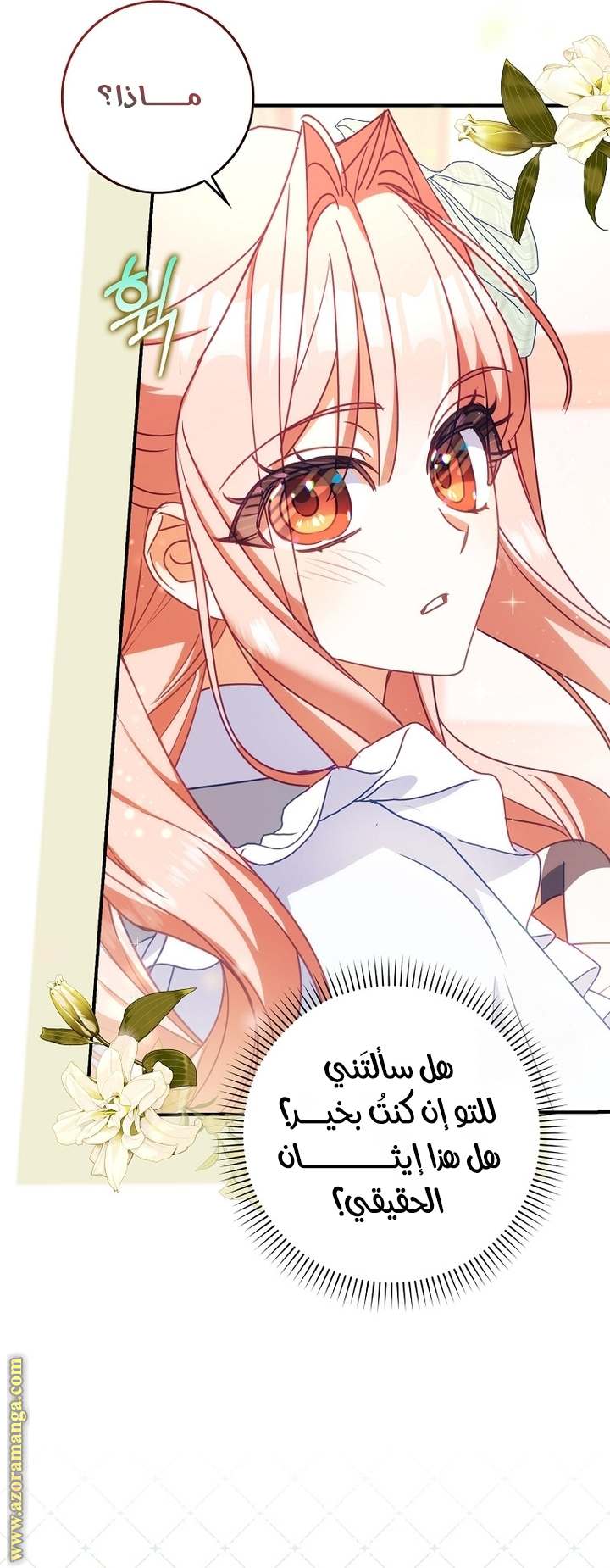 الصفحة 21