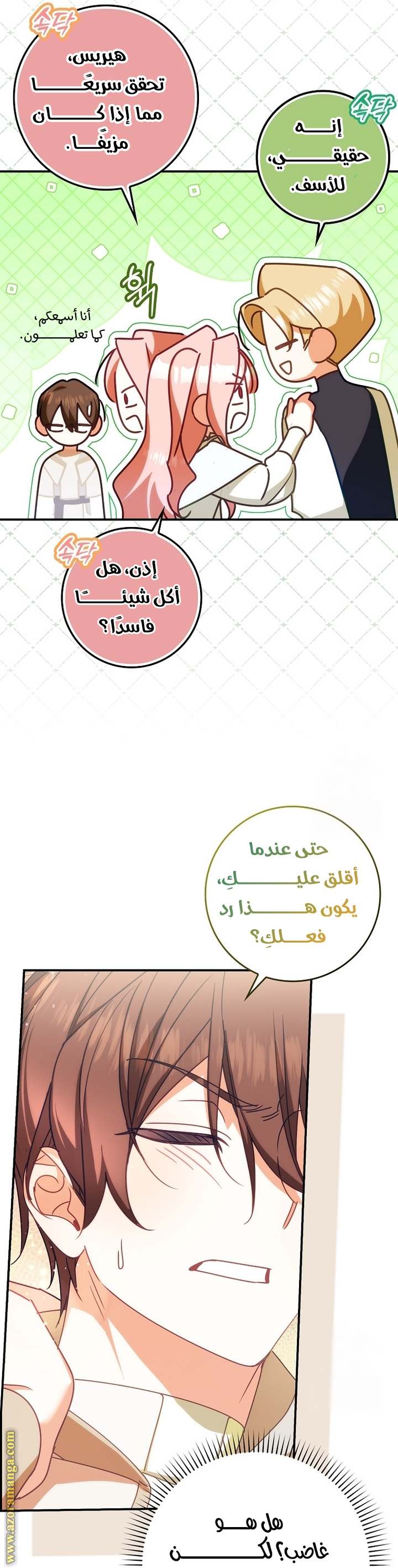 الصفحة 22