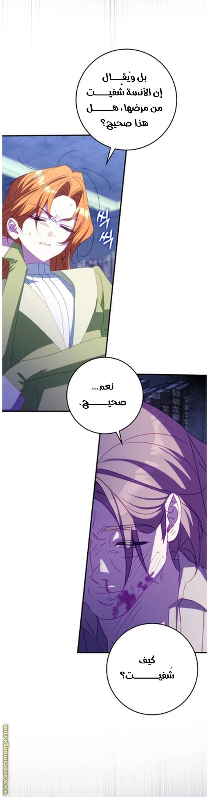 الصفحة 26