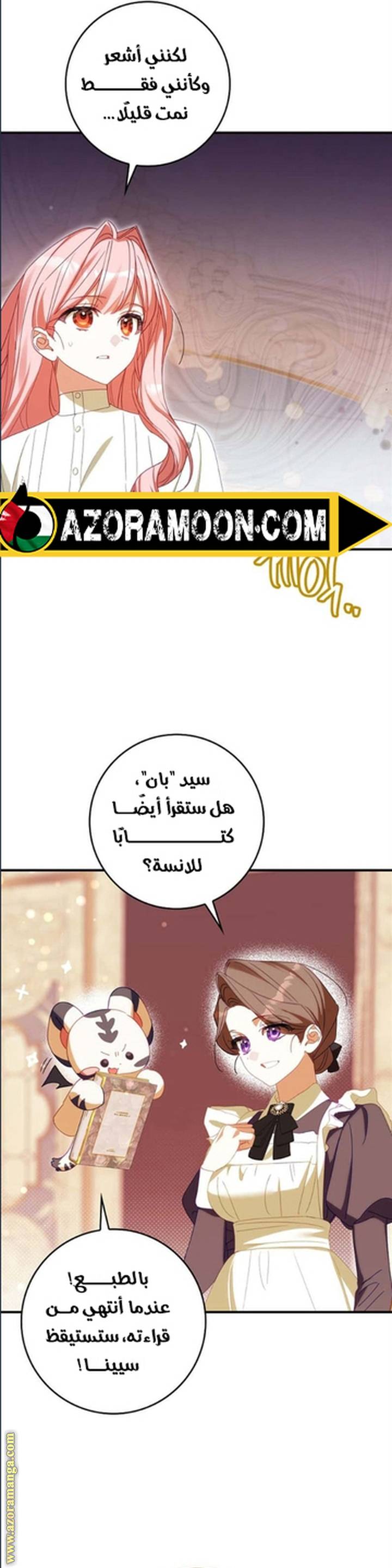 الصفحة 13