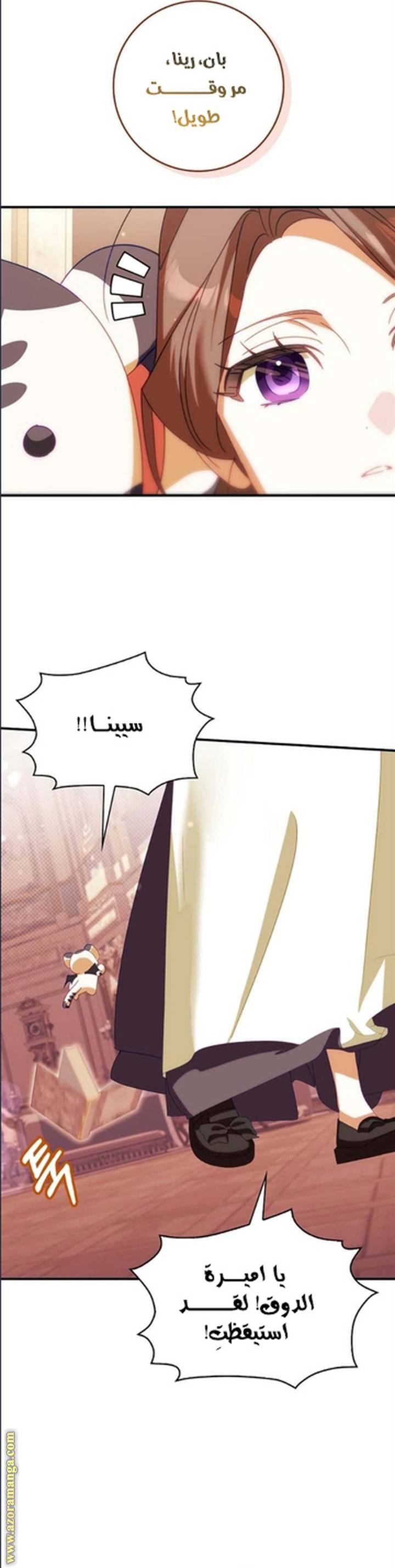 الصفحة 14
