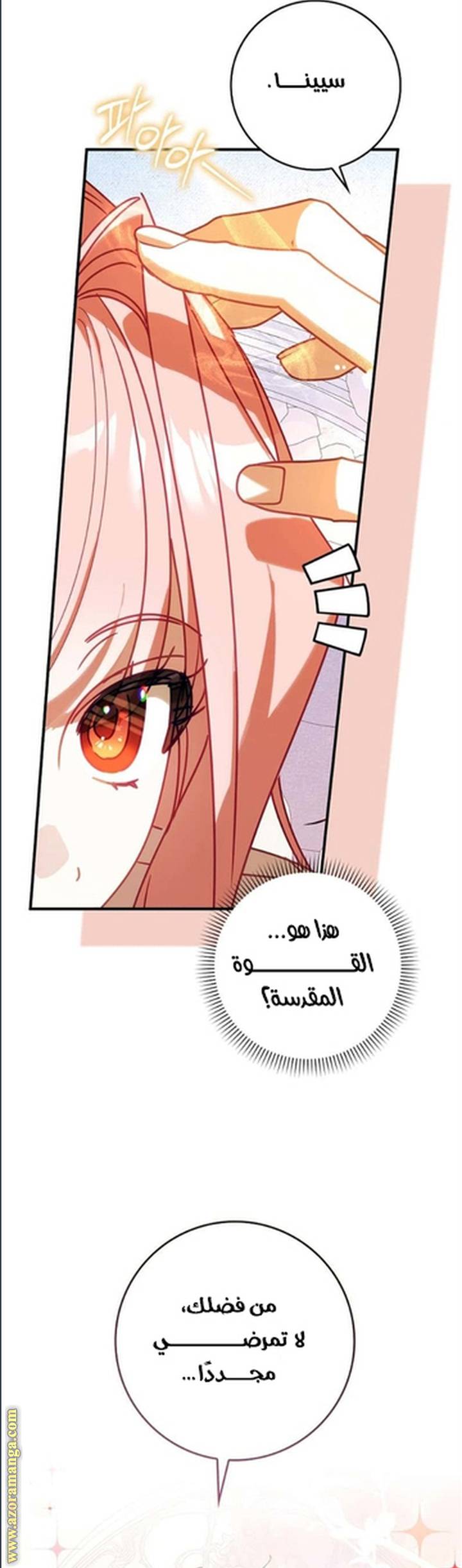 الصفحة 25