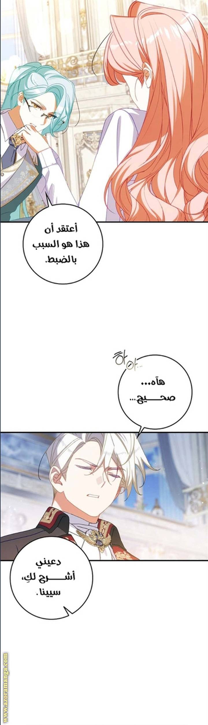 الصفحة 29