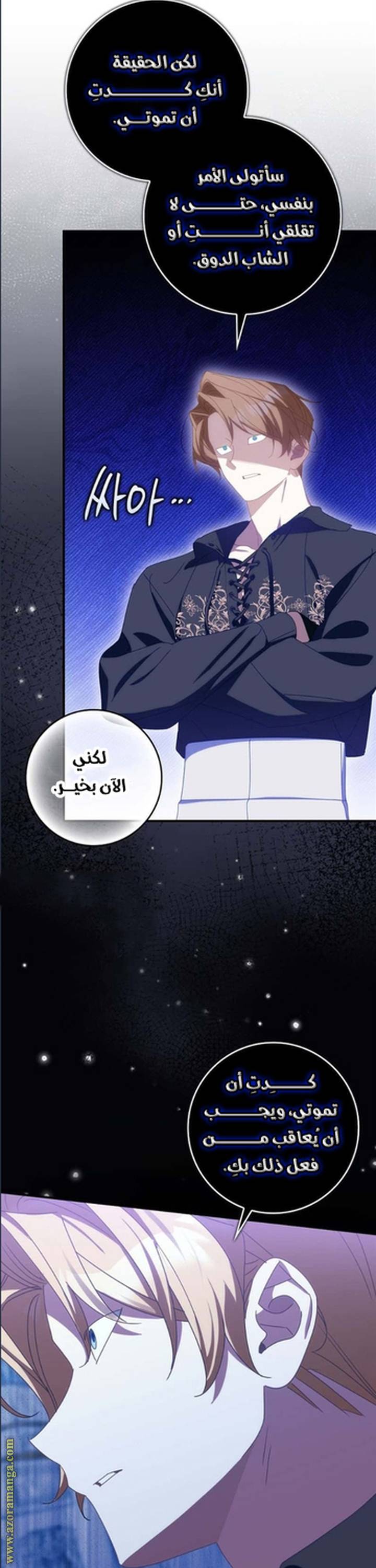 الصفحة 31