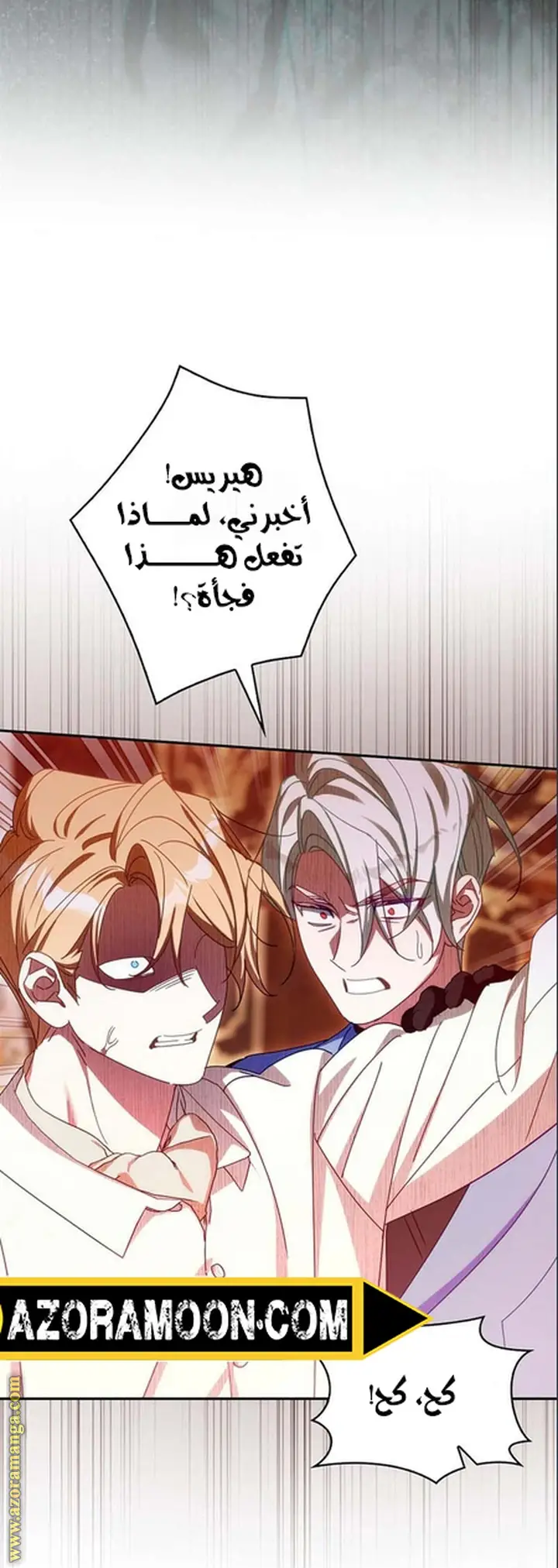 الصفحة 12