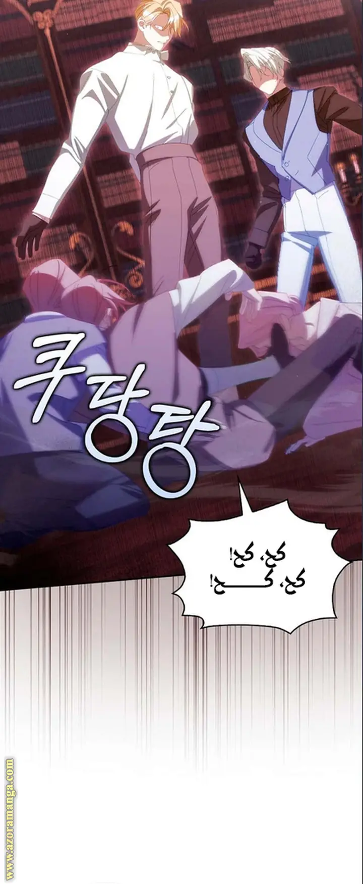 الصفحة 17
