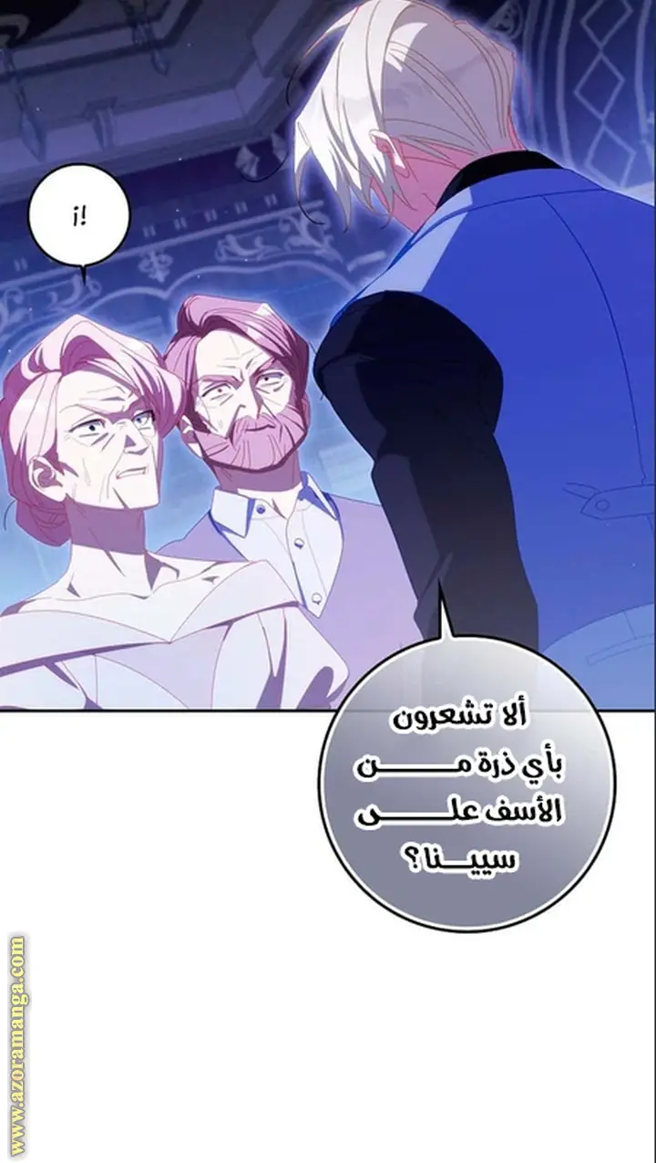 الصفحة 28