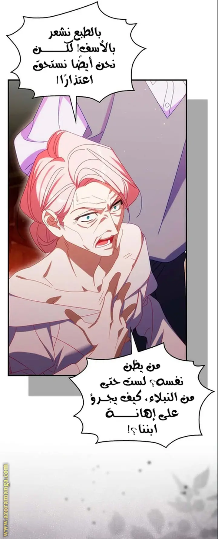 الصفحة 29