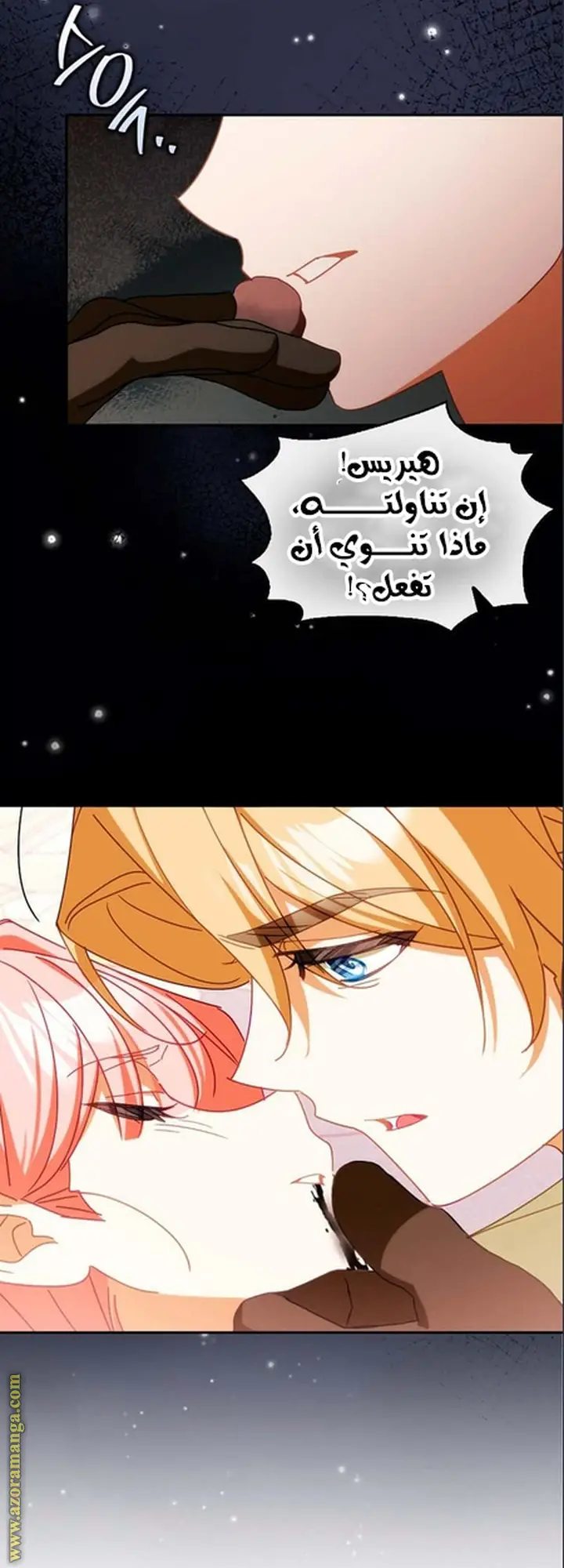 الصفحة 49