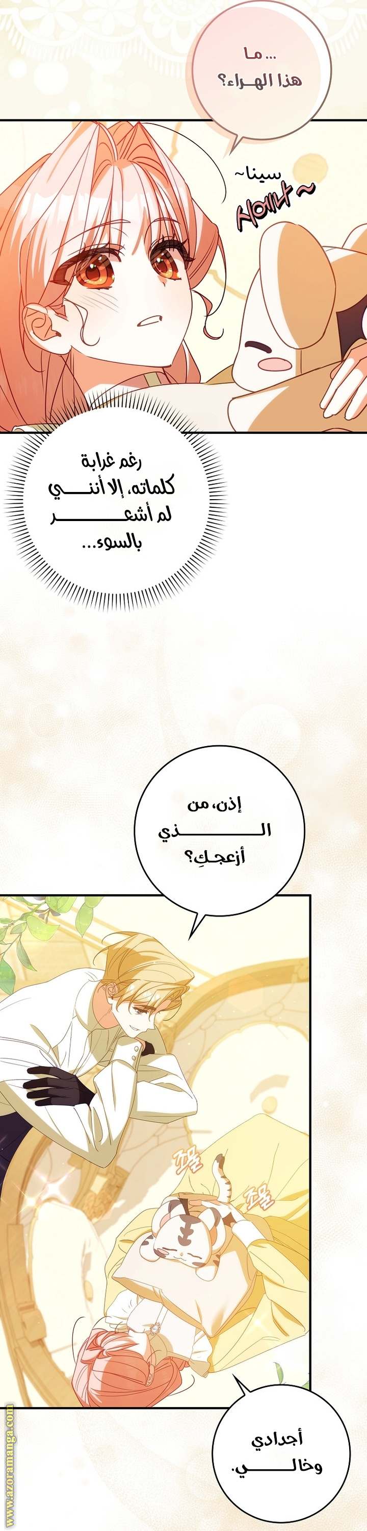 الصفحة 17
