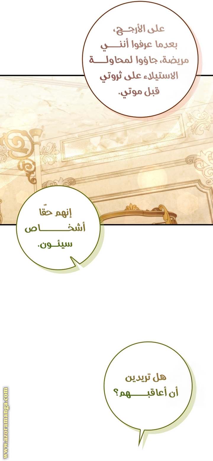 الصفحة 19