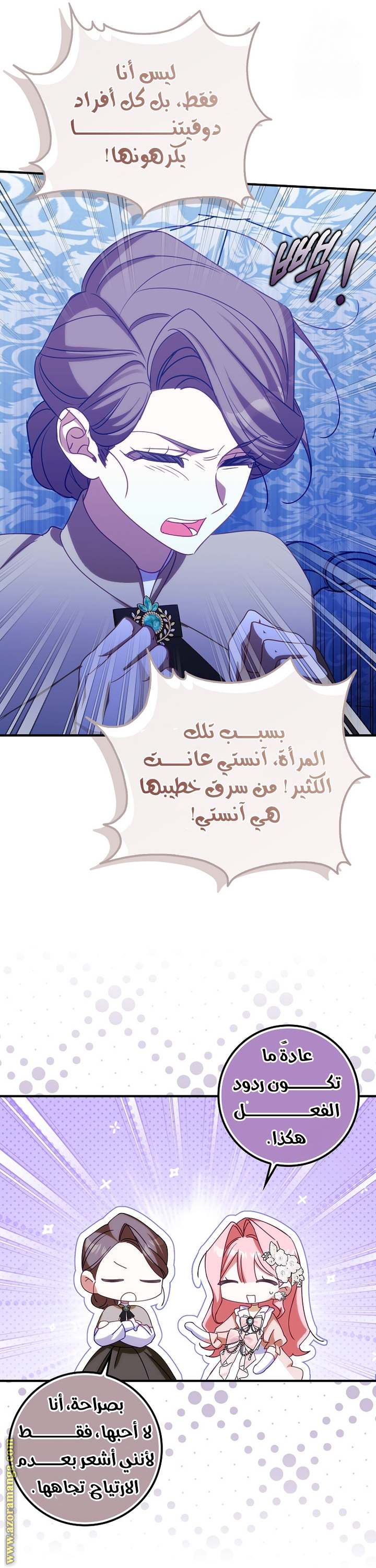 الصفحة 13